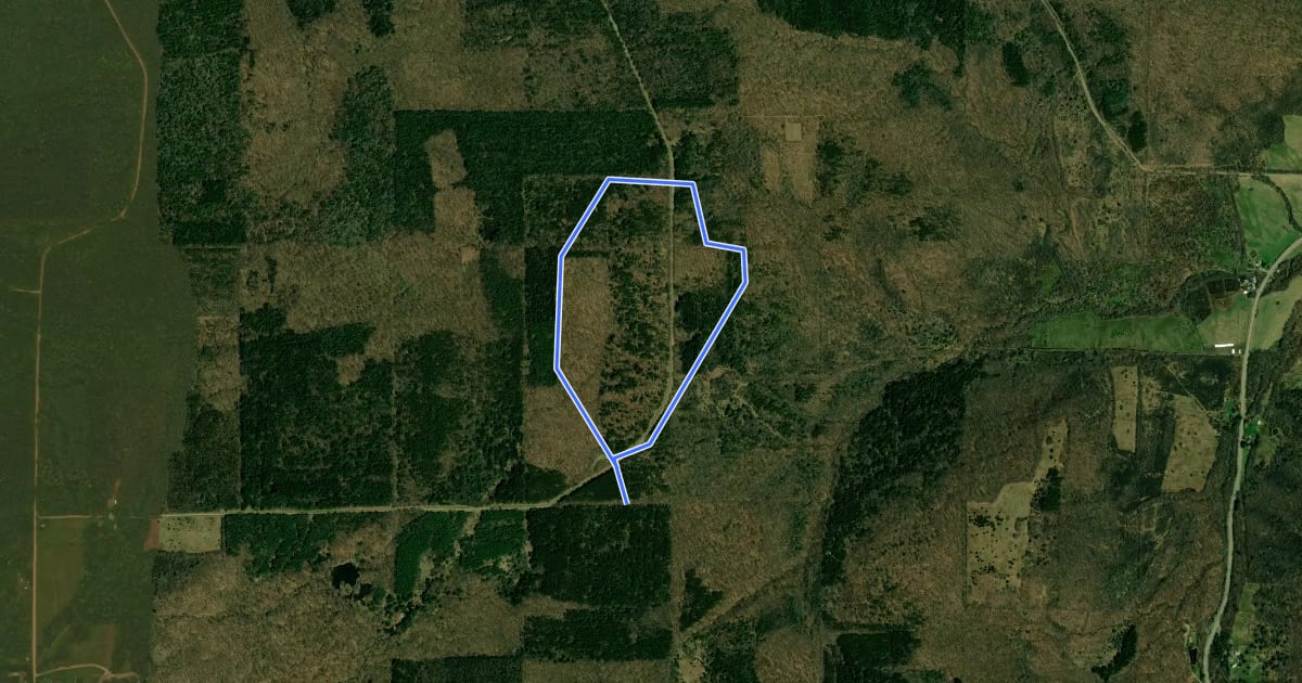 Маршрут West Almond - 5R на спутниковом снимке