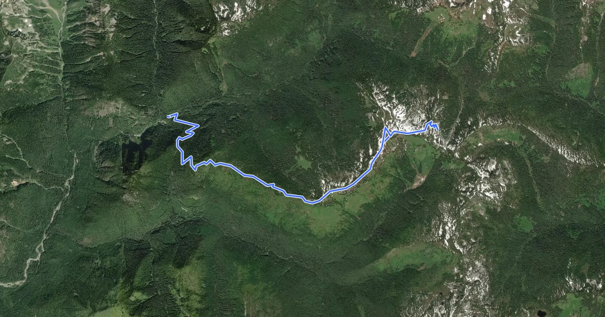 Маршрут West Cady Ridge Trail на спутниковом снимке