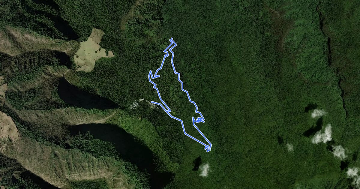 Маршрут West Canungra Creek Circuit на спутниковом снимке