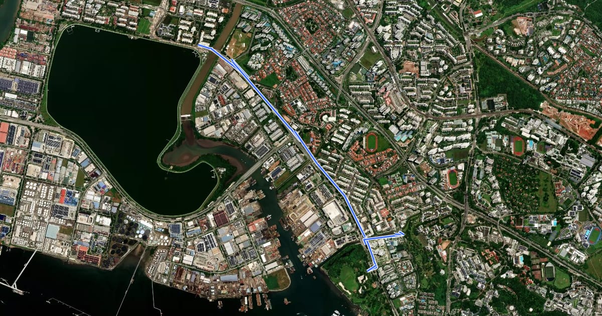 Маршрут West Coast Park Connector на спутниковом снимке