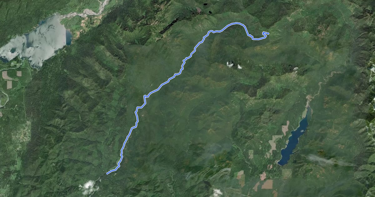 Маршрут West Fork Humptulips Trail #806 на спутниковом снимке
