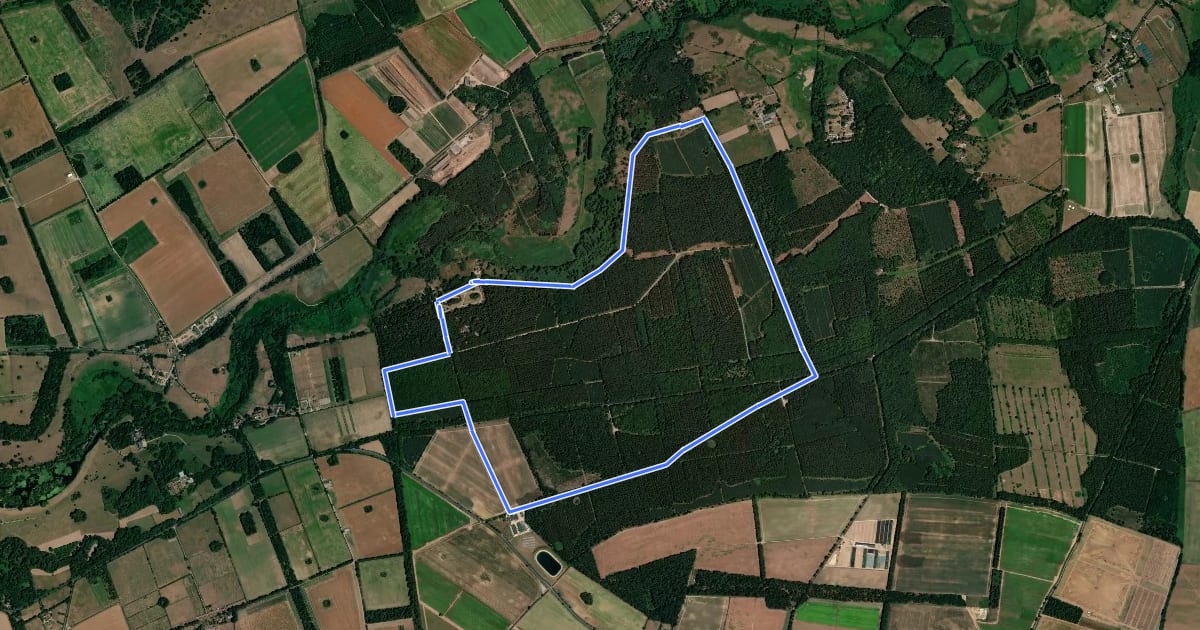 Маршрут West Harling Circular Walk на спутниковом снимке