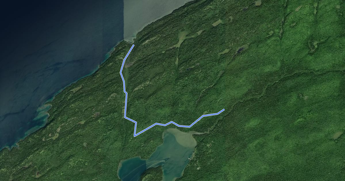 Маршрут West Huginnin Cove Trail на спутниковом снимке