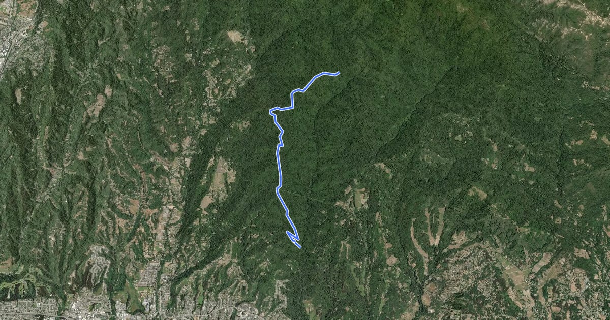 Маршрут West Ridge Trail на спутниковом снимке