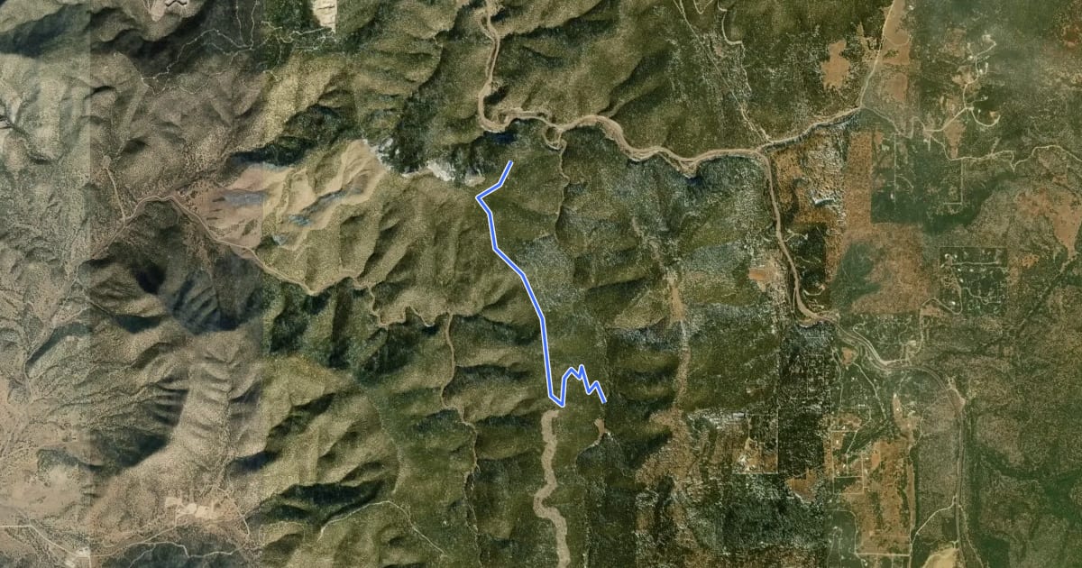 Маршрут West Ridge Trail на спутниковом снимке