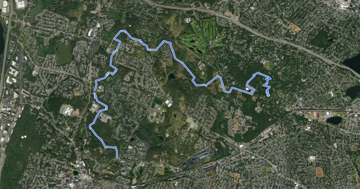 Маршрут Western Greenway на спутниковом снимке