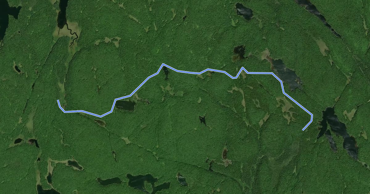 Маршрут Western Uplands Backpacking Trail (Loft Lake) на спутниковом снимке