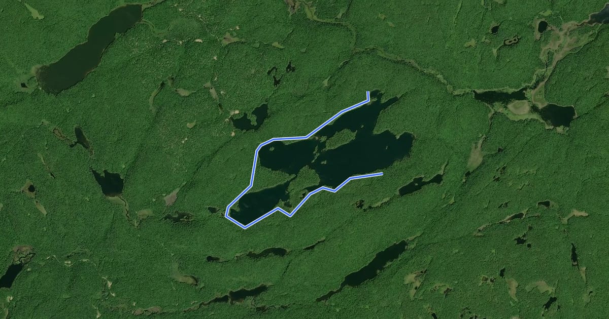 Маршрут Western Uplands Backpacking Trail (Maggie Lake) на спутниковом снимке