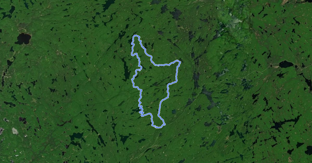 Маршрут Western Uplands Backpacking Trail (main) на спутниковом снимке