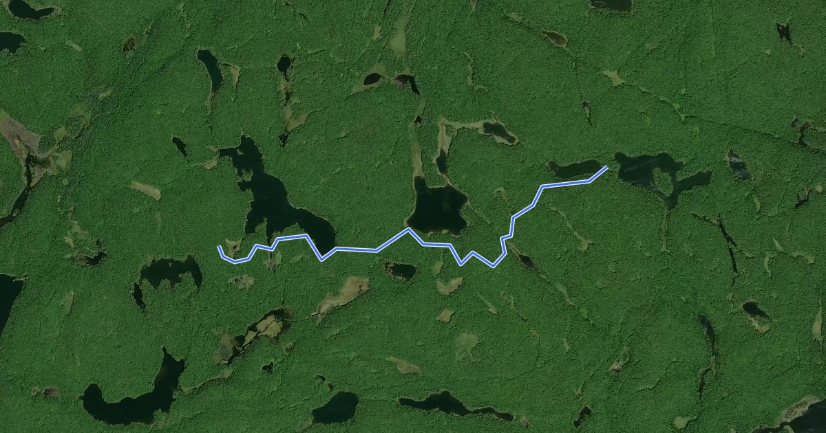 Маршрут Western Uplands Backpacking Trail (northern crosscut) на спутниковом снимке