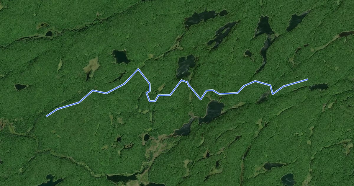 Маршрут Western Uplands Backpacking Trail (southern crosscut) на спутниковом снимке