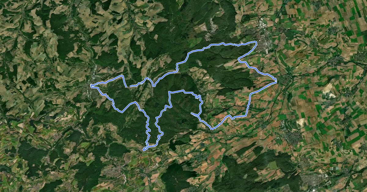 Маршрут Westpfalz-Wanderweg Blaues W (Donnersberg-Wanderweg) на спутниковом снимке