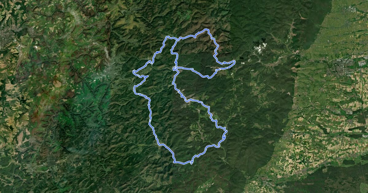 Маршрут Westpfalz-Wanderweg Gelbes W (Burgen Wanderweg) на спутниковом снимке