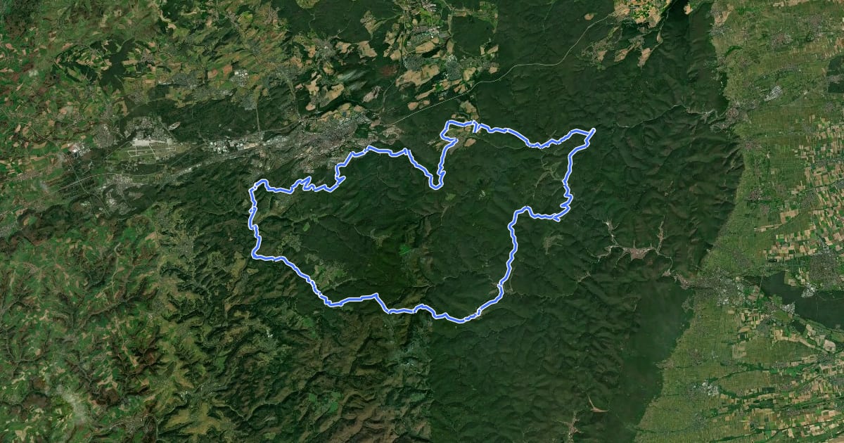 Маршрут Westpfalz-Wanderweg Gelbes W (Pfalzgrafen-Wanderweg) на спутниковом снимке