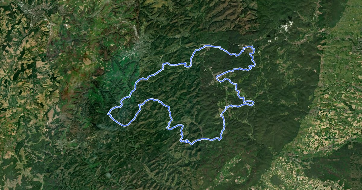 Маршрут Westpfalz-Wanderweg Grünes W (Wasgau-Wanderweg) на спутниковом снимке