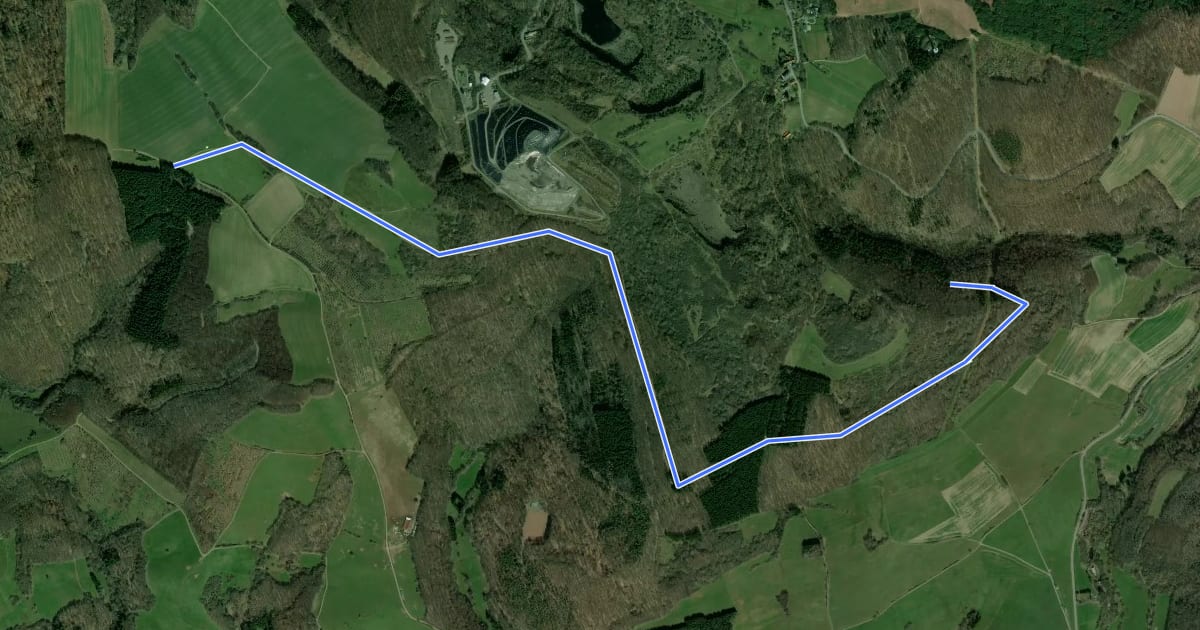 Маршрут Westpfalz-Wanderweg Rotes W (Musikantenland-Wanderweg) на спутниковом снимке