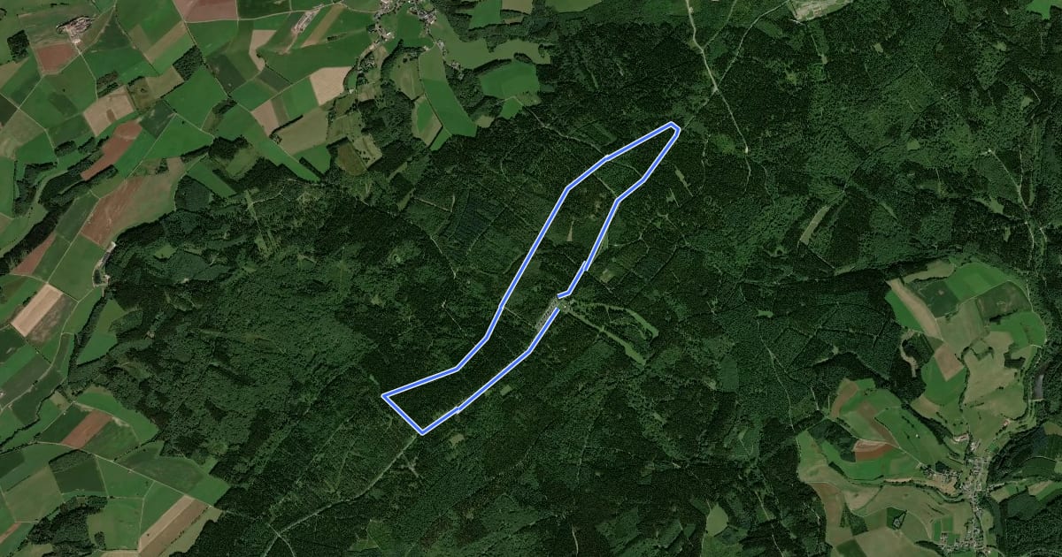 Маршрут Westwallweg на спутниковом снимке