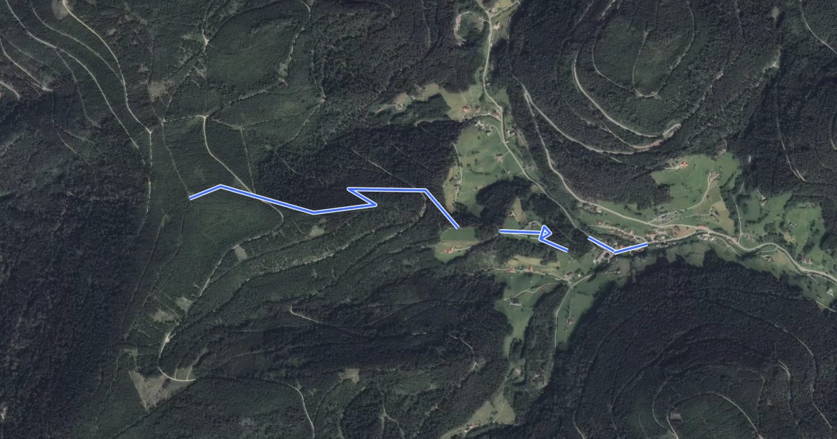 Маршрут Westweg - Holzwald на спутниковом снимке