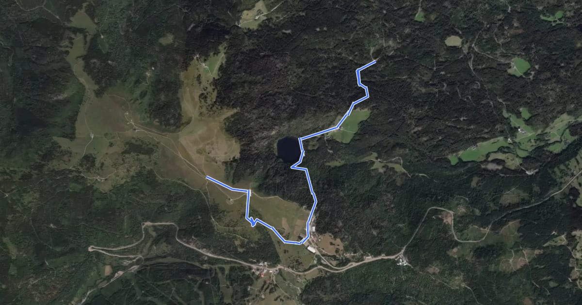 Маршрут Westweg (Variante Feldberger Hof) на спутниковом снимке