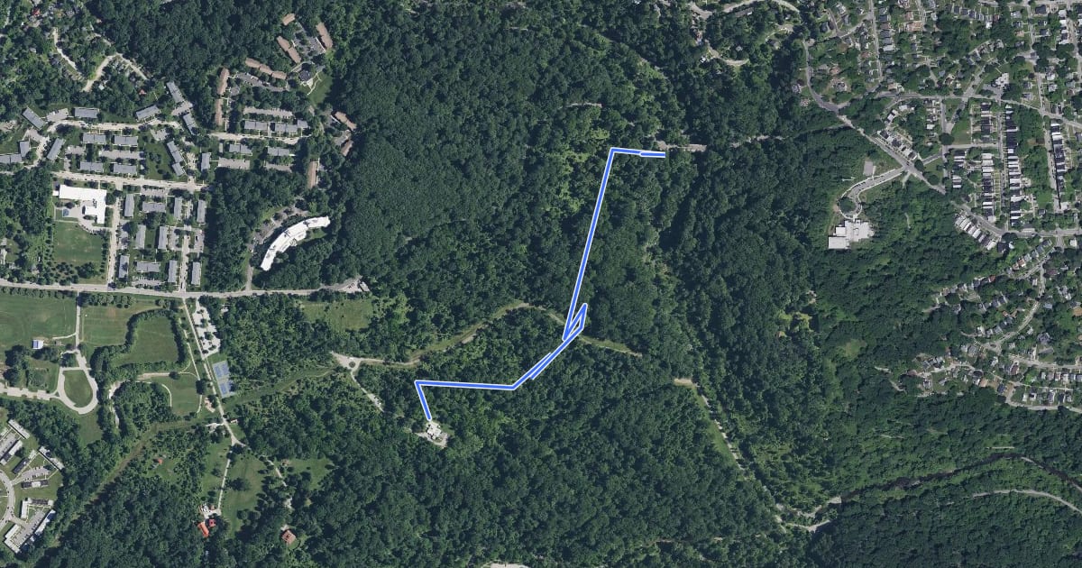 Маршрут Wetland Trail на спутниковом снимке