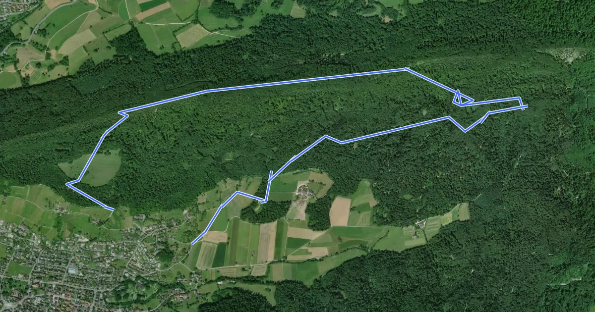 Маршрут Wettingen Route 5 на спутниковом снимке