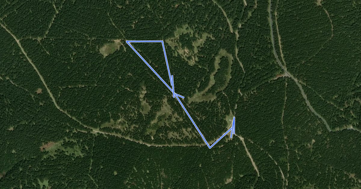 Маршрут Wettkampfstrecke Sommerbachskopf - 2km на спутниковом снимке