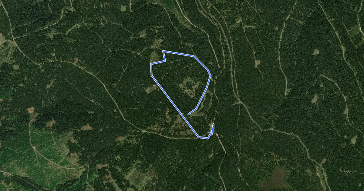 Маршрут Wettkampfstrecke Sommerbachskopf - 3km на спутниковом снимке