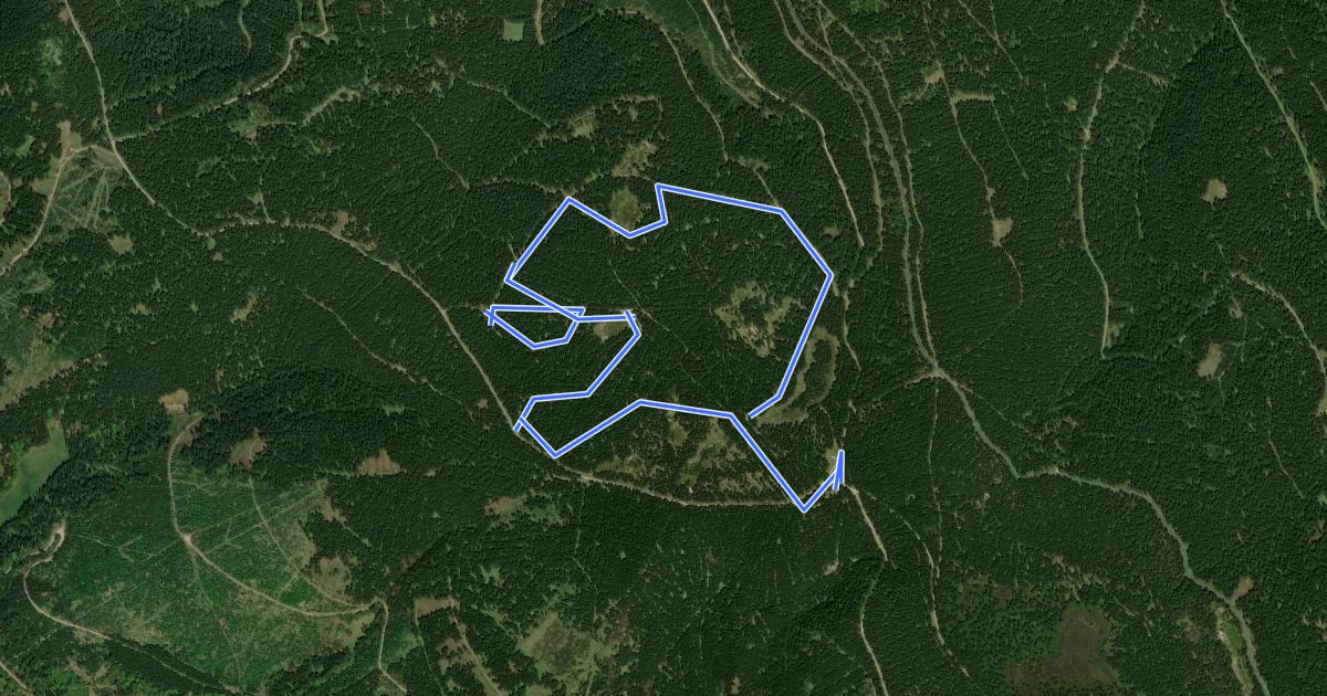 Маршрут Wettkampfstrecke Sommerbachskopf - 5km на спутниковом снимке