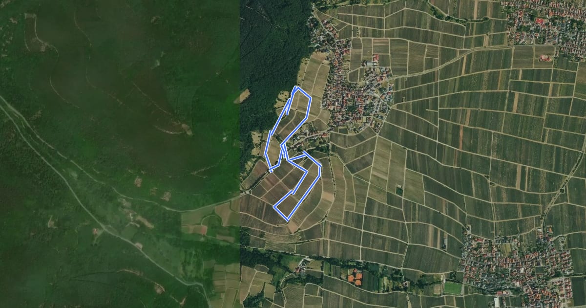 Маршрут Weyherer Wein-Panorama Wanderweg на спутниковом снимке