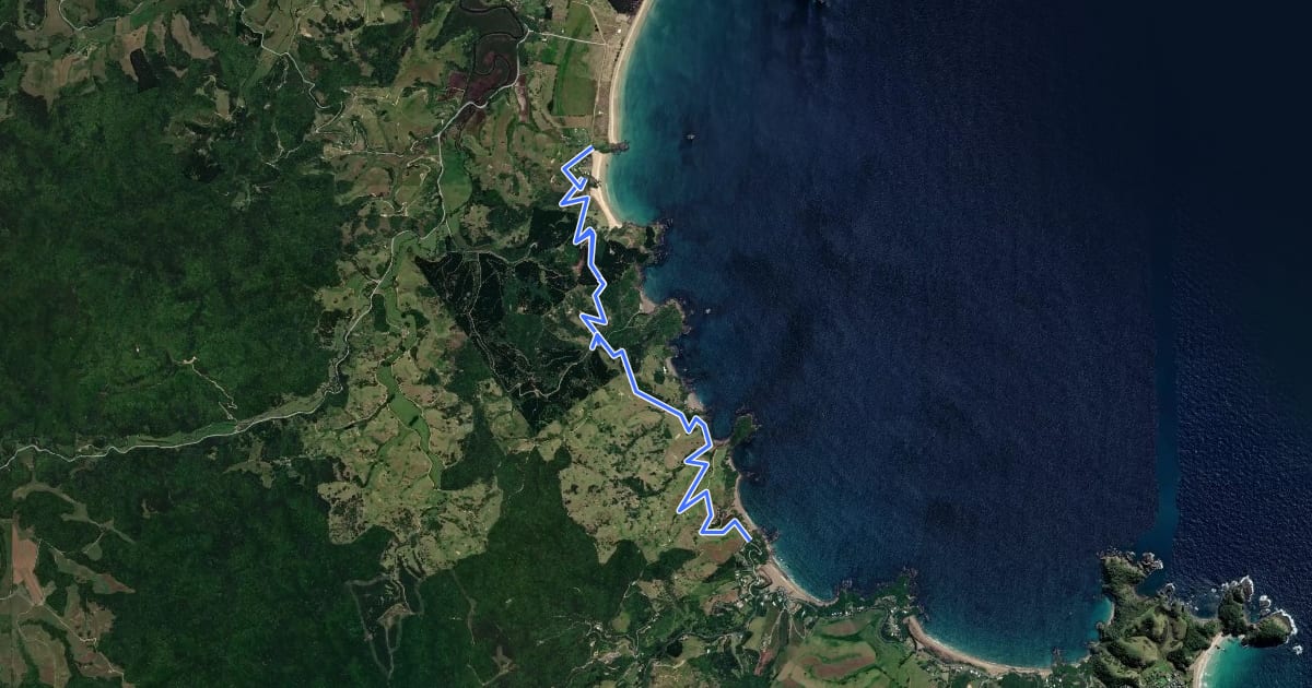 Маршрут Whananaki Coastal Walkway на спутниковом снимке