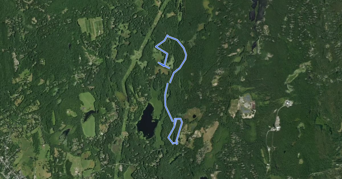 Маршрут Wharton Plantation Trail на спутниковом снимке
