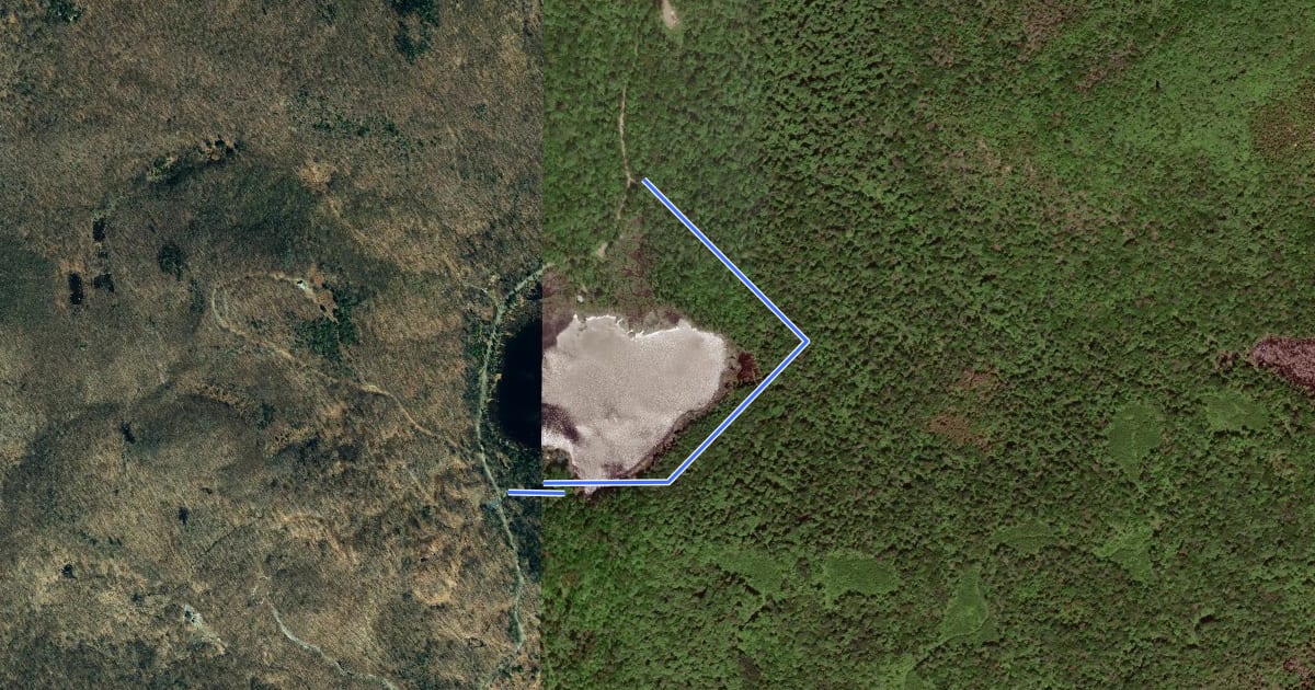 Маршрут Wheeler Pond Trail на спутниковом снимке