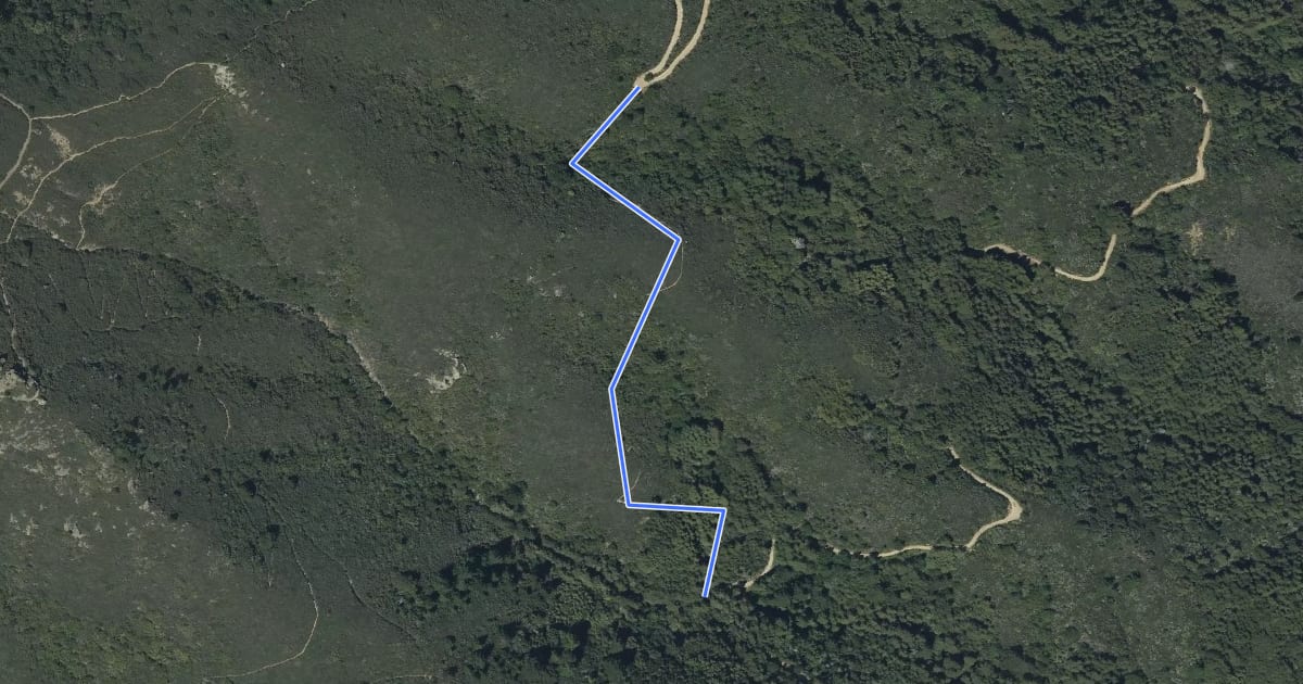 Маршрут Wheeler Trail на спутниковом снимке