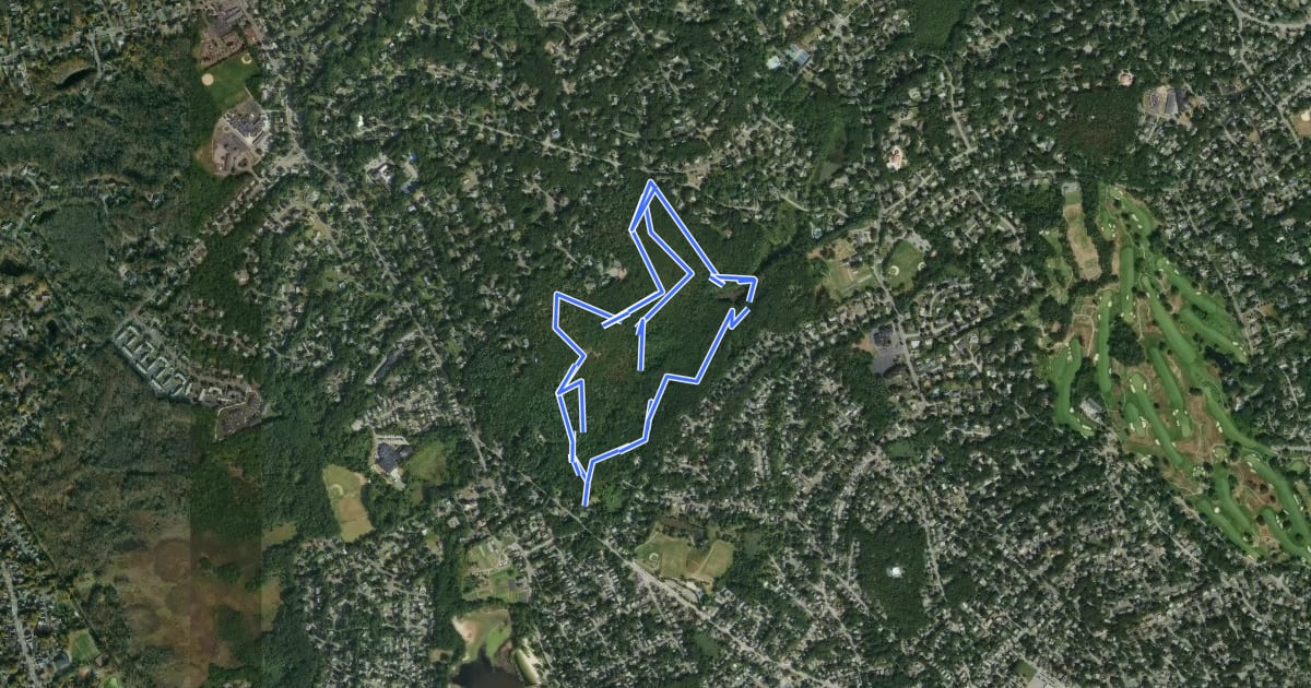 Маршрут Whipple Hill Locke Farm Loop на спутниковом снимке
