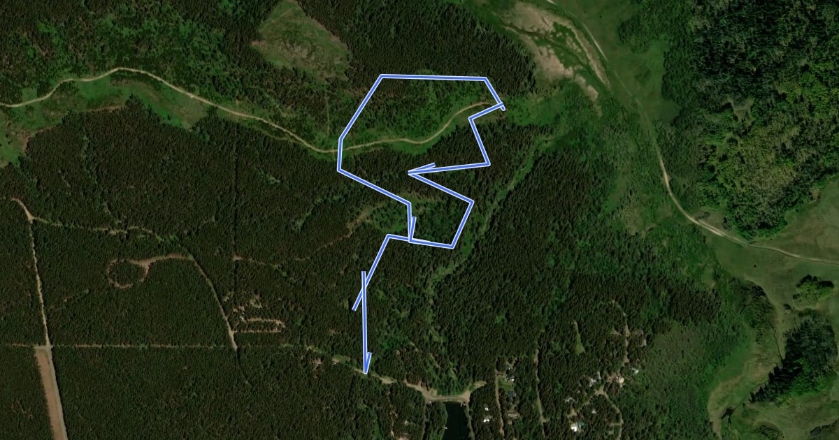 Маршрут Whispering Pines Trail на спутниковом снимке