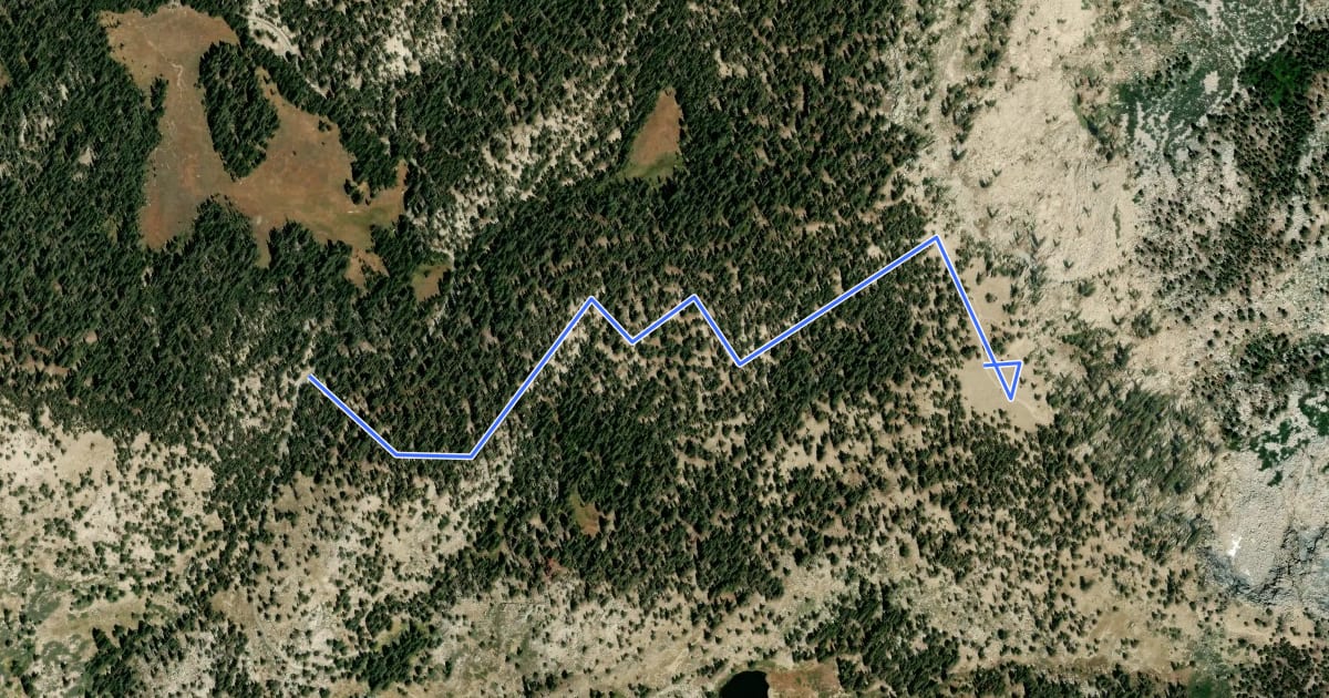 Маршрут White Bark Vista Trail на спутниковом снимке