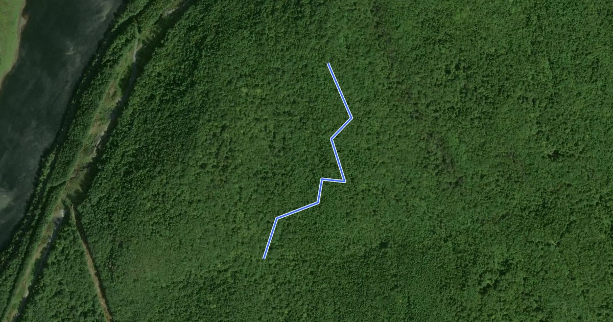 Маршрут White Birch Trail на спутниковом снимке
