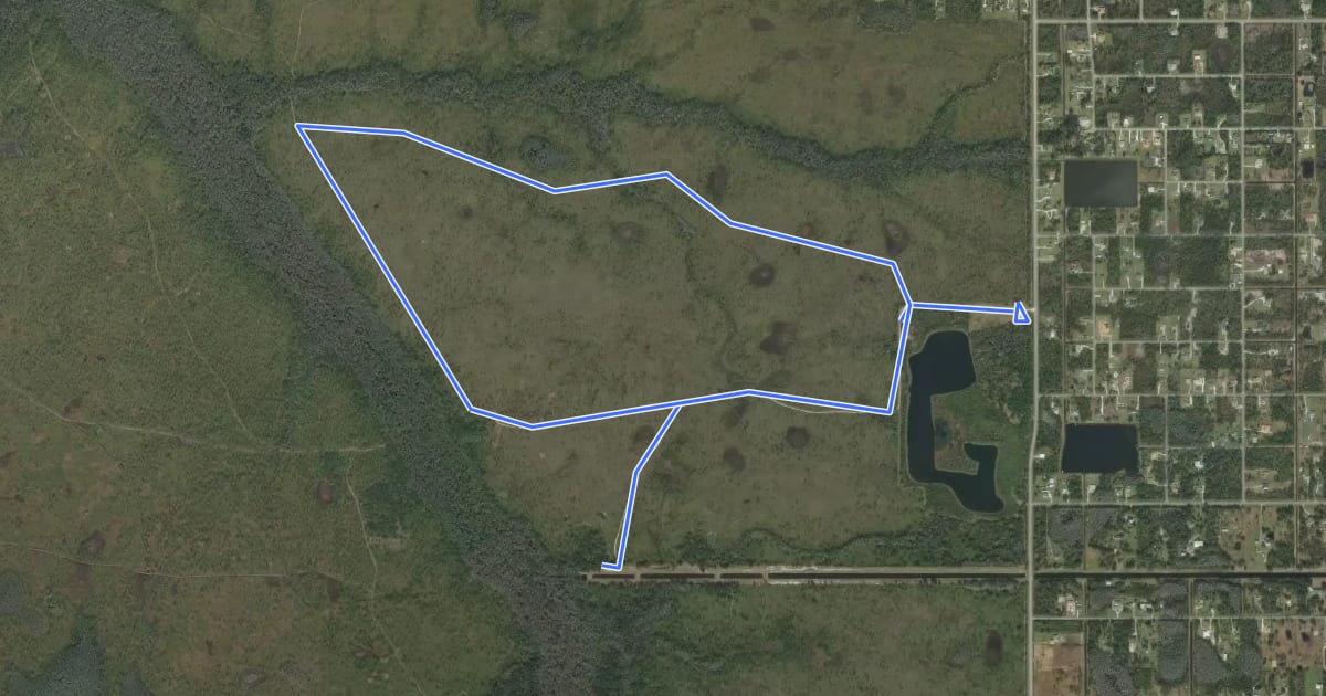 Маршрут White Blaze Trail на спутниковом снимке