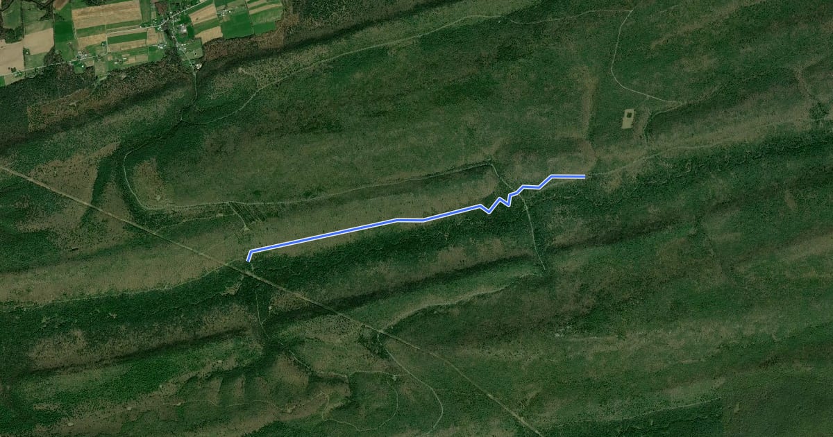 Маршрут White Deer Creek Trail на спутниковом снимке