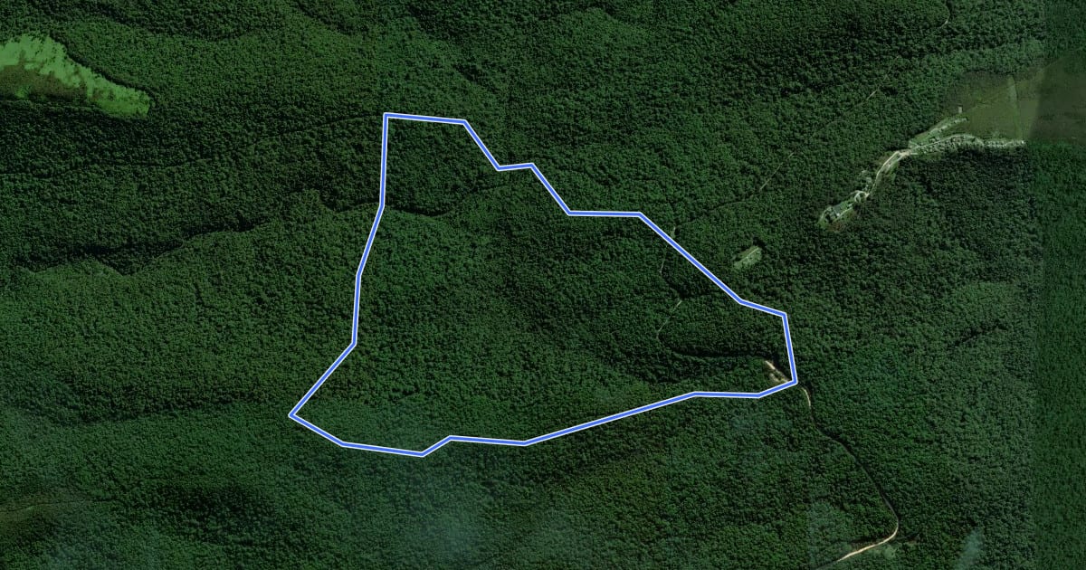 Маршрут White Elephant Trail на спутниковом снимке