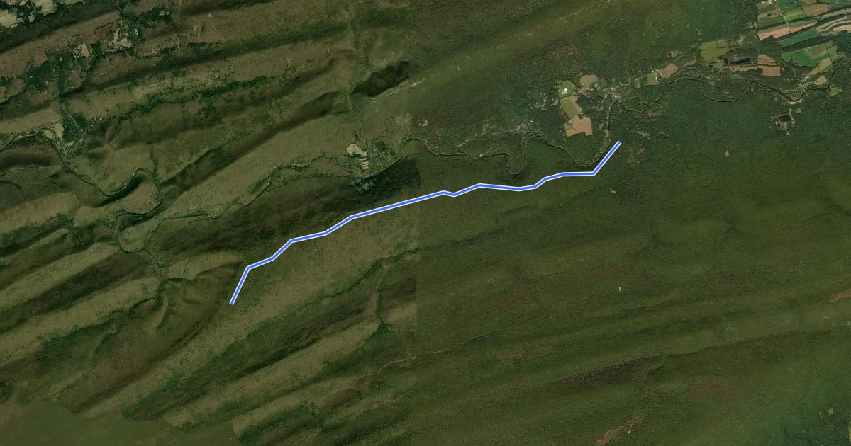 Маршрут White Mountain Ridge Trail на спутниковом снимке