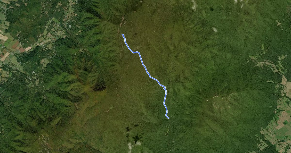 Маршрут White Oak Canyon Trail на спутниковом снимке