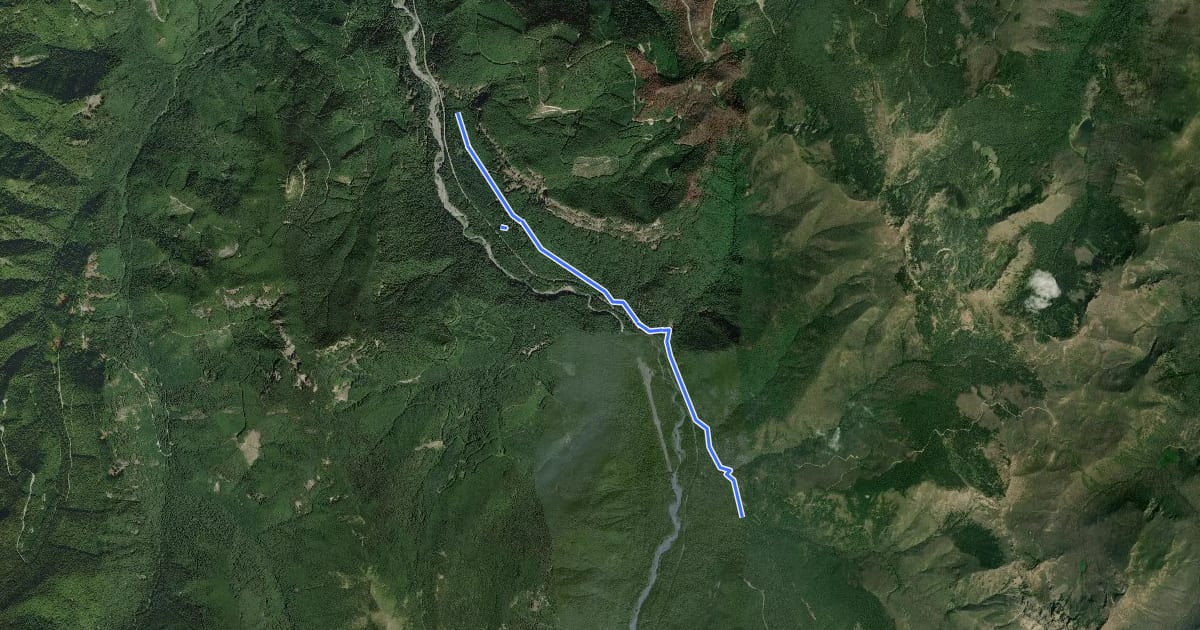 Маршрут White River Trail на спутниковом снимке