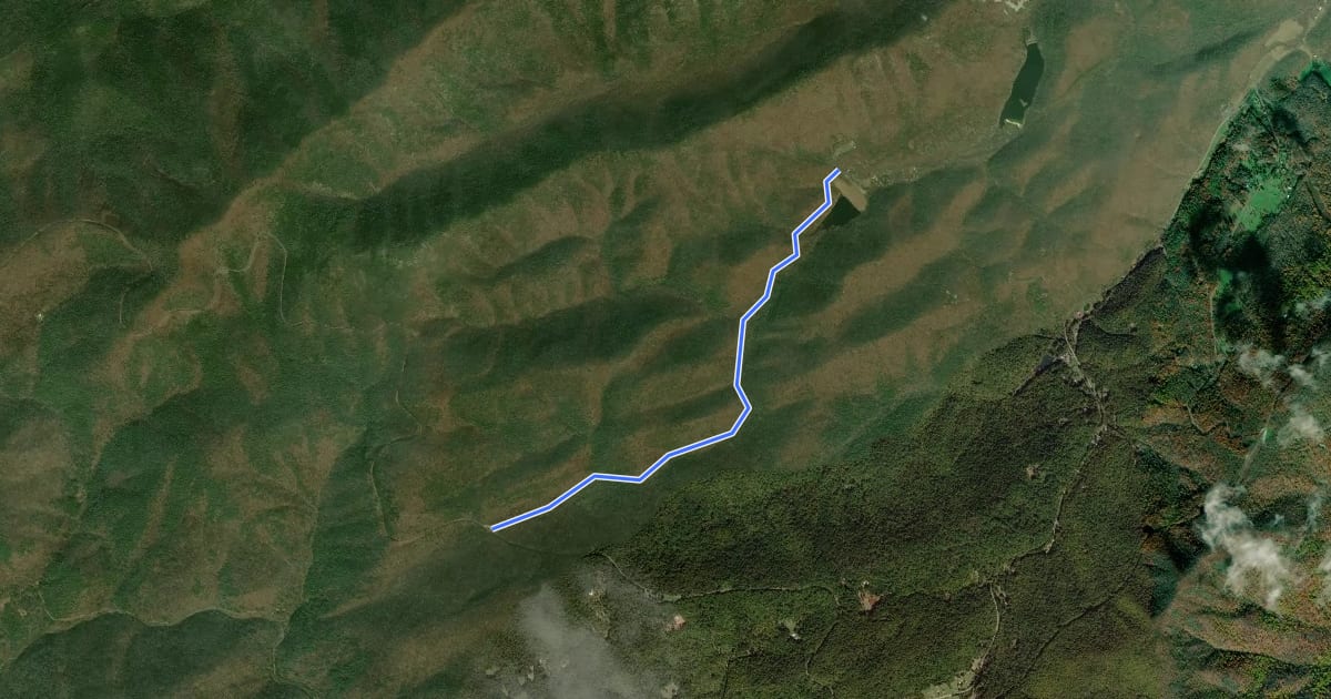 Маршрут White Rock Gap Trail на спутниковом снимке
