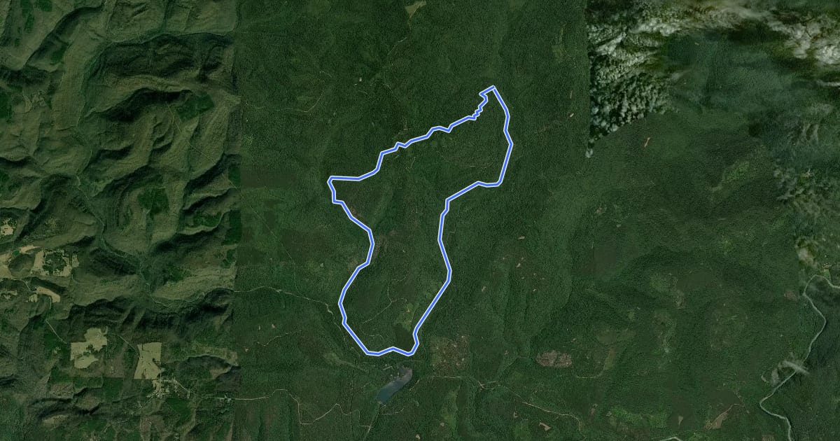 Маршрут White Rock - Shores Lake Loop на спутниковом снимке