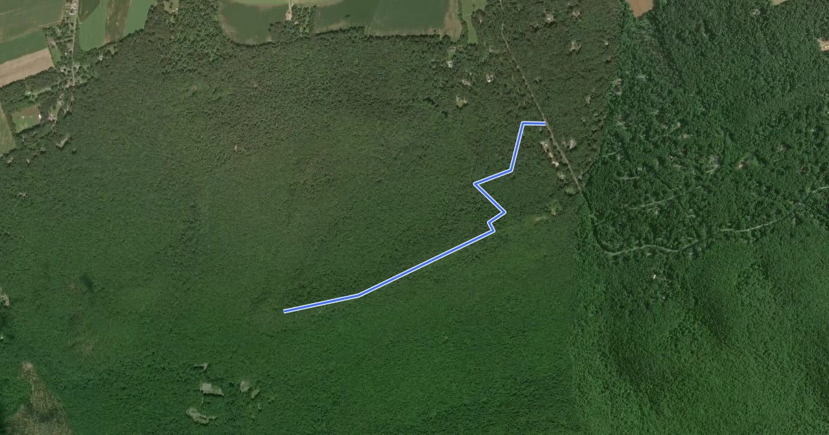 Маршрут White Rock Trail на спутниковом снимке