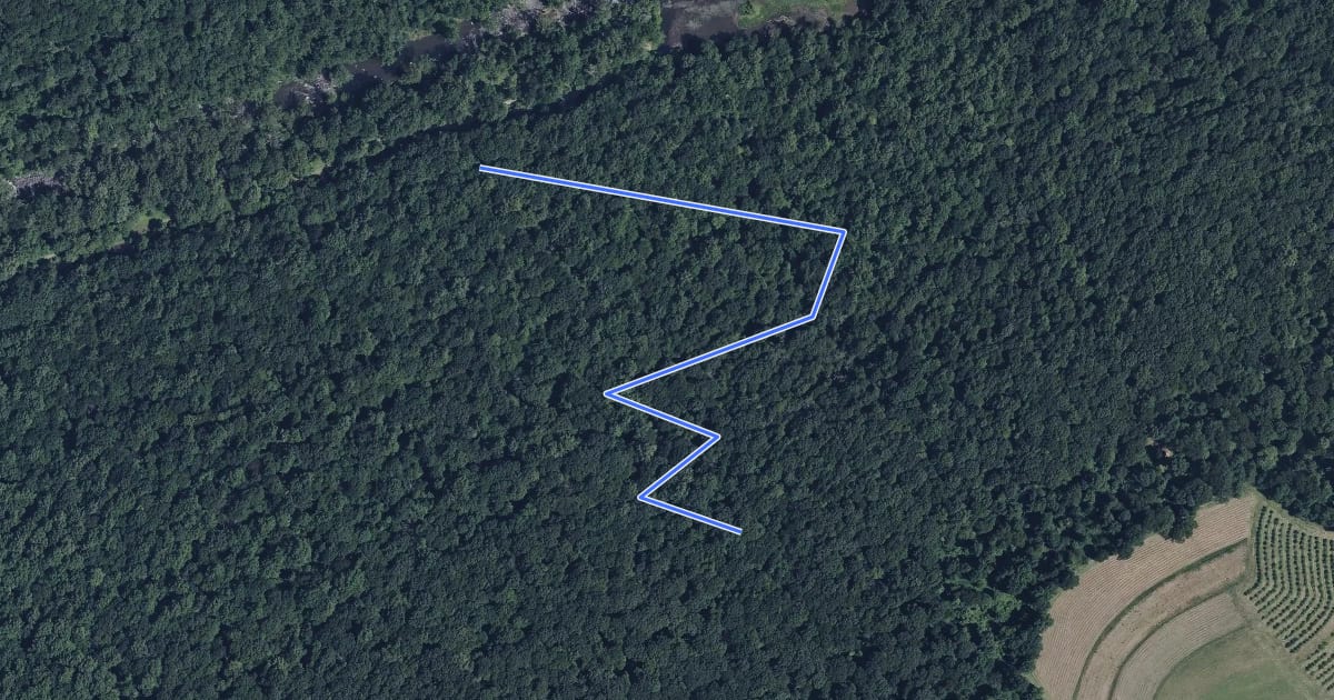 Маршрут White Trail на спутниковом снимке