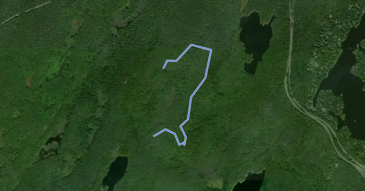 Маршрут White Trail на спутниковом снимке