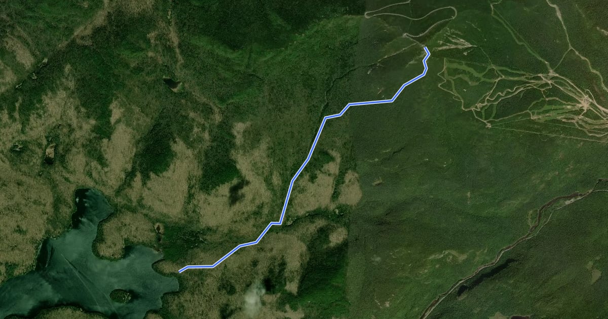 Маршрут Whiteface Landing Trail на спутниковом снимке