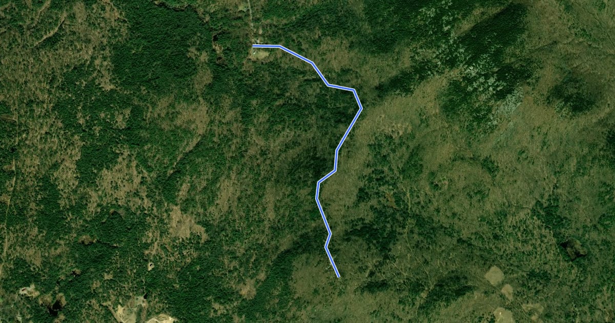 Маршрут Whiteface Trail на спутниковом снимке